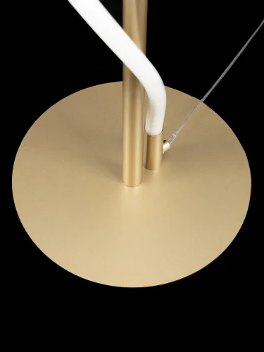 Торшер LED Eva CL210912 Citilux  белый 1 лампа, основание матовое золото в стиле современный
 фото 7