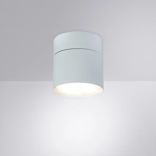 Светильник накладной Intercrus A5549PL-1WH Arte Lamp белый 1 лампа, основание белое в стиле модерн круглый фото 2