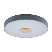 Светильник потолочный LED Axel 10003/24 Grey LOFT IT купить, отзывы, фото, быстрая доставка по Москве и России. Заказы 24/7