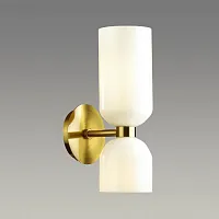 Бра Orinoco 4798/2W Odeon Light белый 2 лампы, основание бронзовое в стиле современный 