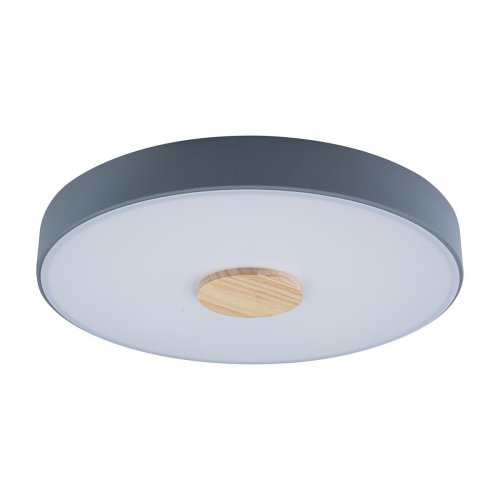 Светильник потолочный LED Axel 10003/24 Grey LOFT IT белый 1 лампа, основание серое в стиле модерн 