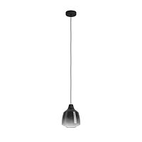 Светильник подвесной Sedbergh 43821 Eglo чёрный 1 лампа, основание чёрное в стиле современный 