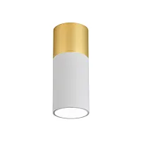 Светильник накладной LED Deepak 3073-1C Favourite белый 1 лампа, основание золотое в стиле модерн круглый