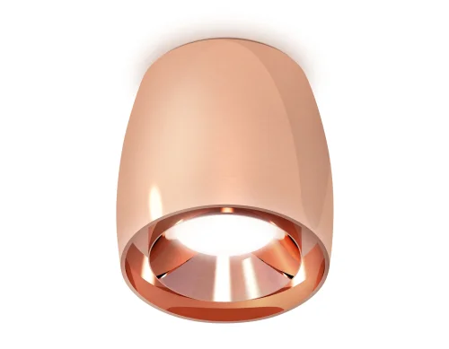 Светильник накладной Techno spot XS1144002 Ambrella light розовый золотой 1 лампа, основание розовое золотое в стиле современный хай-тек круглый