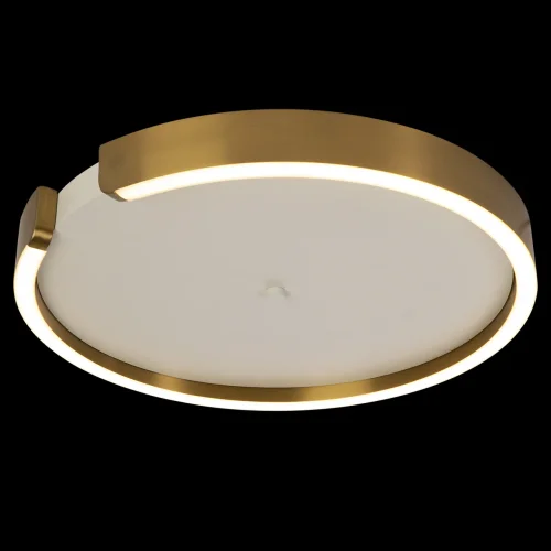 Светильник потолочный LED Circle 10026 LOFT IT белый матовый латунь 1 лампа, основание матовое латунь в стиле хай-тек современный  фото 2