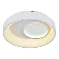 Светильник потолочный LED с пультом 10207/2LED Escada белый на 1 лампу, основание белое в стиле хай-тек с пультом Светильник потолочный LED с пультом 10207/2LED Escada белый на 1 лампу, основание белое в стиле хай-тек с пультом