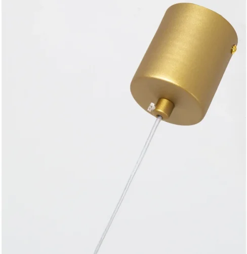 Светильник подвесной LED Altus 4221-1P F-promo матовый золото 1 лампа, основание матовое золото в стиле современный  фото 3