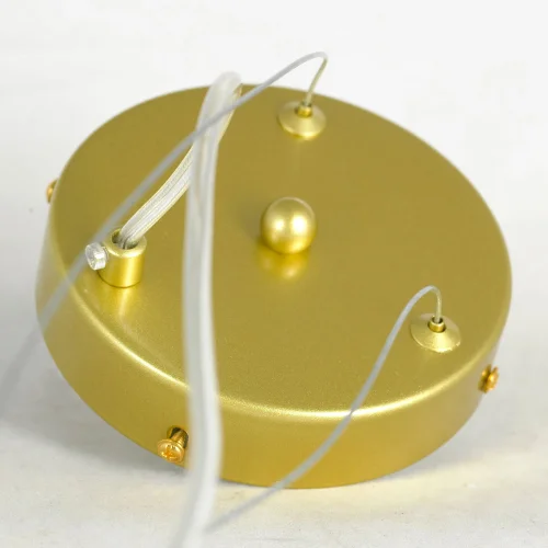 Люстра подвесная LSP-8749 Lussole белая на 6 ламп, основание матовое золото в стиле современный флористика  фото 7