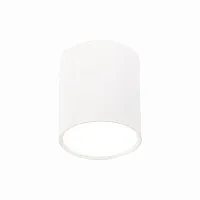 Светильник накладной LED Rene ST113.542.05 ST-Luce белый 1 лампа, основание белое в стиле хай-тек круглый