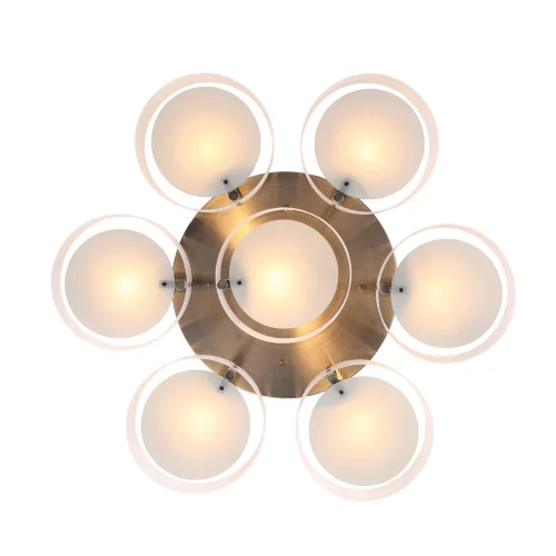 Люстра потолочная Foresta SL483.352.07 Evoluce белая на 7 ламп, основание бронзовое в стиле современный  фото 4