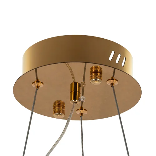 Люстра подвесная LED Cloudy CL323152 Citilux прозрачная на 1 лампу, основание золотое в стиле современный кольца фото 3