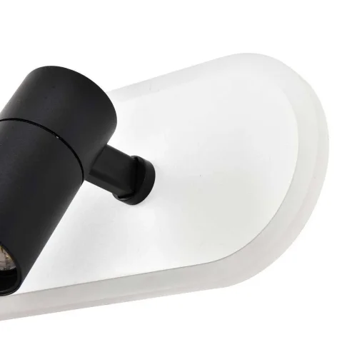 Светильник потолочный LED с пультом Planar 4076-2C Favourite чёрный 1 лампа, основание белое в стиле хай-тек с пультом фото 4