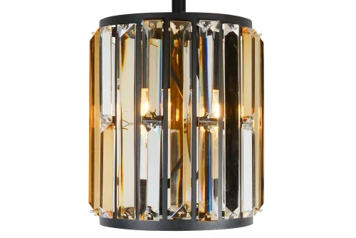 Светильник подвесной Royal 10390-1P BK iLamp прозрачный 1 лампа, основание чёрное в стиле современный американский  фото 4