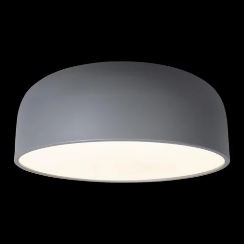 Светильник потолочный LED Axel 10201/480 Grey LOFT IT белый серый 1 лампа, основание серое в стиле современный тарелка фото 2