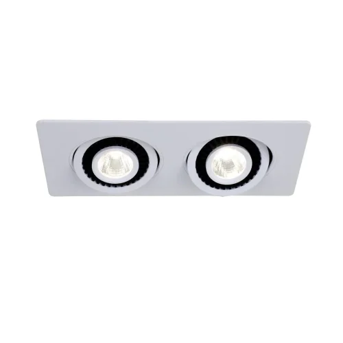 Светильник точечный LED Cardine 2417-2U Favourite белый на 2 лампы, основание белое в стиле современный 