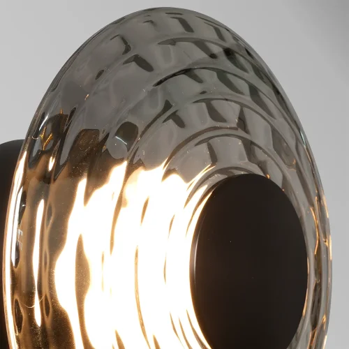 Бра LED Claros 4642-1W Favourite дымчатый серый на 1 лампу, основание чёрное в стиле современный фото 3