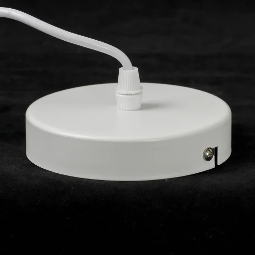 Светильник подвесной Butte LSP-8915 Lussole белый 1 лампа, основание белое в стиле современный лофт  фото 4