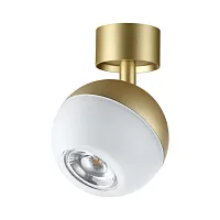 Светильник накладной Garn 370813 Novotech белый 1 лампа, основание золотое в стиле современный круглый