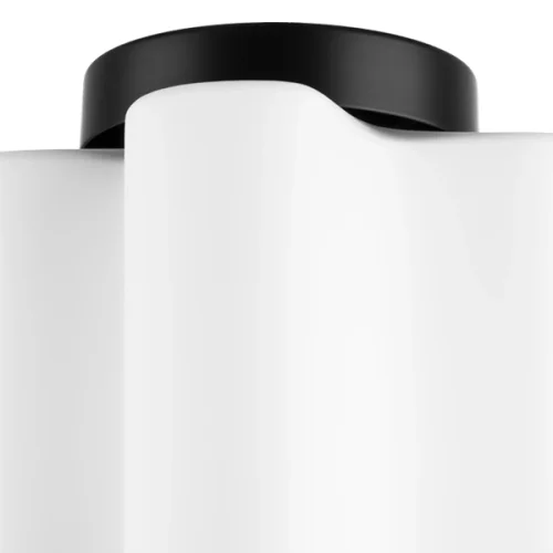 Светильник потолочный Nubi 802017 Lightstar белый 1 лампа, основание чёрное в стиле модерн арт-деко  фото 3