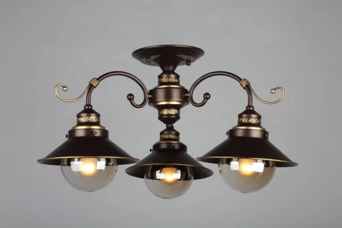 Люстра потолочная Fontelo OML-50407-03 Omnilux прозрачная на 3 лампы, основание коричневое в стиле кантри  фото 2