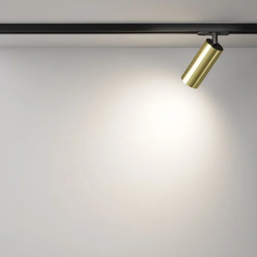 Трековый светильник LED Single phase track system Unity TR021-1-12W4K-W-BBS Maytoni латунь для шинопроводов серии Single phase track system Unity чёрный латунь фото 5