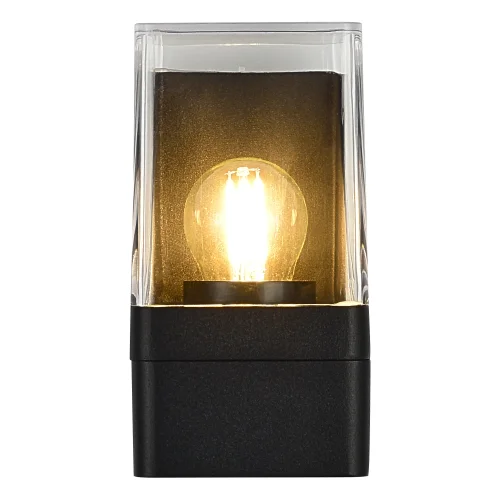 Настенный светильник уличный Slide SL9016.401.01 ST-Luce уличный IP65 чёрный на 1 лампу, плафон прозрачный в стиле современный E27 фото 2