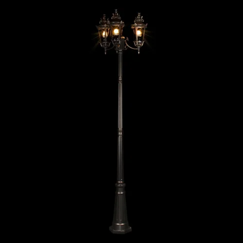 Парковый светильник Verona 100003/2300 LOFT IT уличный IP55 чёрный 3 лампы, плафон прозрачный в стиле классический E27 фото 2