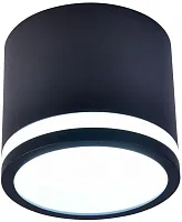Светильник накладной Festum 4212-1C Favourite чёрный 1 лампа, основание чёрное в стиле хай-тек современный 