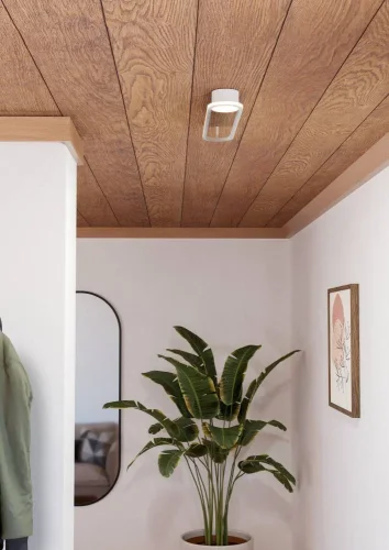 Светильник потолочный LED Collecorvino 902152 Eglo белый на 1 лампу, основание белое в стиле современный хай-тек фото 2 Светильник потолочный LED Collecorvino 902152 Eglo белый на 1 лампу, основание белое в стиле современный хай-тек фото 2