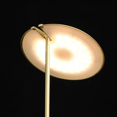 Торшер LED Гэлэкси 632045702 DeMarkt для чтения матовый никель 1 лампа, основание матовое никель в стиле хай-тек
 фото 4