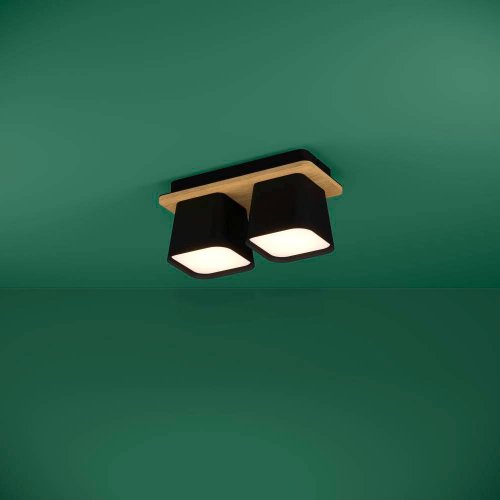 Светильник потолочный Ruscio 390007 Eglo чёрный 2 лампы, основание коричневое чёрное в стиле современный  фото 2