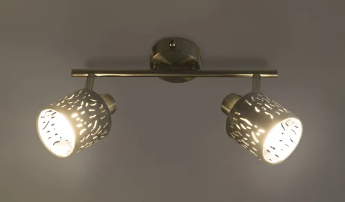 Спот с 2 лампами ALYS 54122-2 Globo серый E14 в стиле современный  фото 3
