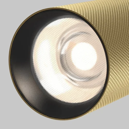 Трековый светильник LED Magnetic track system Exility TR097-2-12W4K-M-BMG Maytoni матовый золото для шинопроводов серии Magnetic track system Exility чёрный фото 6