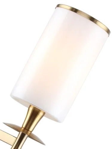 Бра Leader 1047/05/01W Stilfort белый на 1 лампа, основание золотое в стиле современный  фото 2