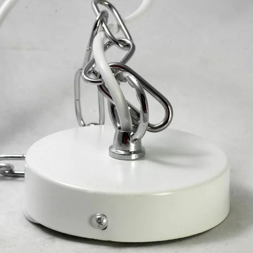 Светильник подвесной лофт Ketchikan GRLSP-8030 Lussole белый 1 лампа, основание хром в стиле лофт  фото 6