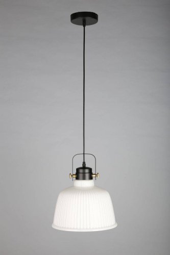 Светильник подвесной Zamora OML-28206-01 Omnilux белый 1 лампа, основание чёрное в стиле современный  фото 2