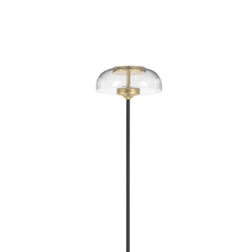 Торшер LED Acrile 738773 Lightstar  прозрачный 1 лампа, основание золотое в стиле минимализм хай-тек современный
 фото 4