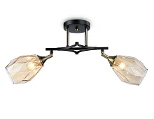 Светильник потолочный TR303032 Ambrella light янтарный 2 лампы, основание чёрное в стиле модерн 