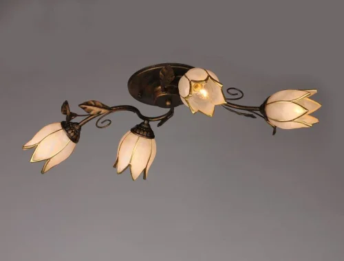 Люстра потолочная Bugey OML-36507-04 Omnilux белая на 4 лампы, основание коричневое в стиле современный  фото 2
