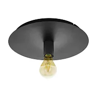 Светильник потолочный Passano 1 98155 Eglo без плафона 1 лампа, основание чёрное в стиле лофт 