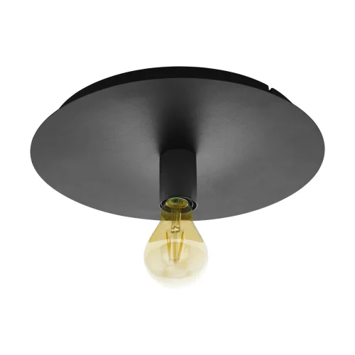 Светильник потолочный Passano 1 98155 Eglo без плафона 1 лампа, основание чёрное в стиле лофт 