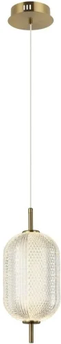 Светильник подвесной LED Cedrello OML-68806-01 Omnilux прозрачный на 1 лампу, основание латунь в стиле современный 
