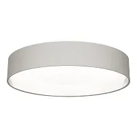 Светильник потолочный LED Brescia SLE300512-01 Evoluce серебряный серый 1 лампа, основание серое никель в стиле классический 