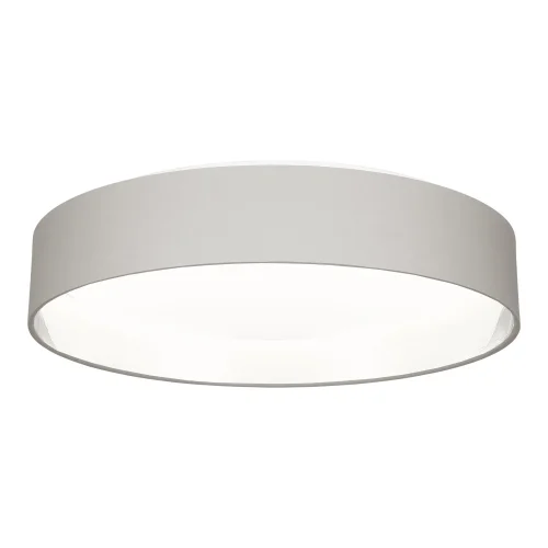 Светильник потолочный LED Brescia SLE300512-01 Evoluce серебряный серый 1 лампа, основание серое никель в стиле классический 
