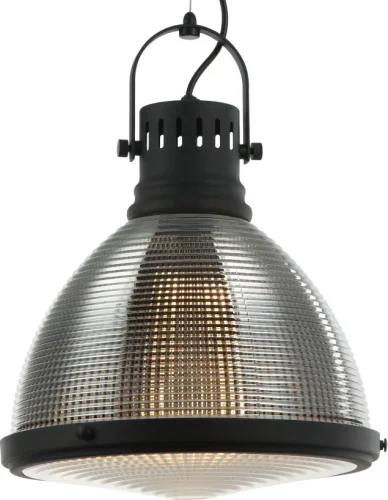 Светильник подвесной Shiner 2126/02/01P Stilfort прозрачный 1 лампа, основание чёрное в стиле лофт современный  фото 2