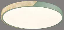 Светильник потолочный LED с пультом 445-467-01 Velante белый 1 лампа, основание коричневое зелёное в стиле кантри современный тарелка с пультом