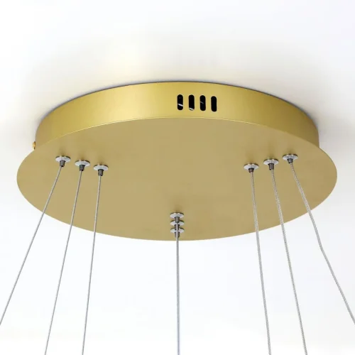 Светильник подвесной LED Giro 2937-18P Favourite золотой 1 лампа, основание золотое в стиле современный кольца фото 2