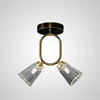 Светильник потолочный ADRIELL CH Brass Black 208131-23 ImperiumLoft прозрачный на 2 лампы, основание латунь в стиле современный Светильник потолочный ADRIELL CH Brass Black 208131-23 ImperiumLoft прозрачный на 2 лампы, основание латунь в стиле современный