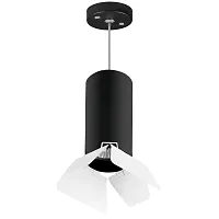 Светильник подвесной Rullo RP6487486 Lightstar чёрный белый 1 лампа, основание чёрное в стиле хай-тек трубочки