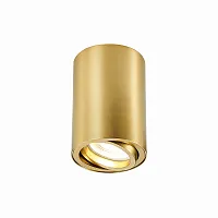 Светильник накладной St108 ST108.207.01 ST-Luce золотой 1 лампа, основание золотое в стиле современный хай-тек круглый